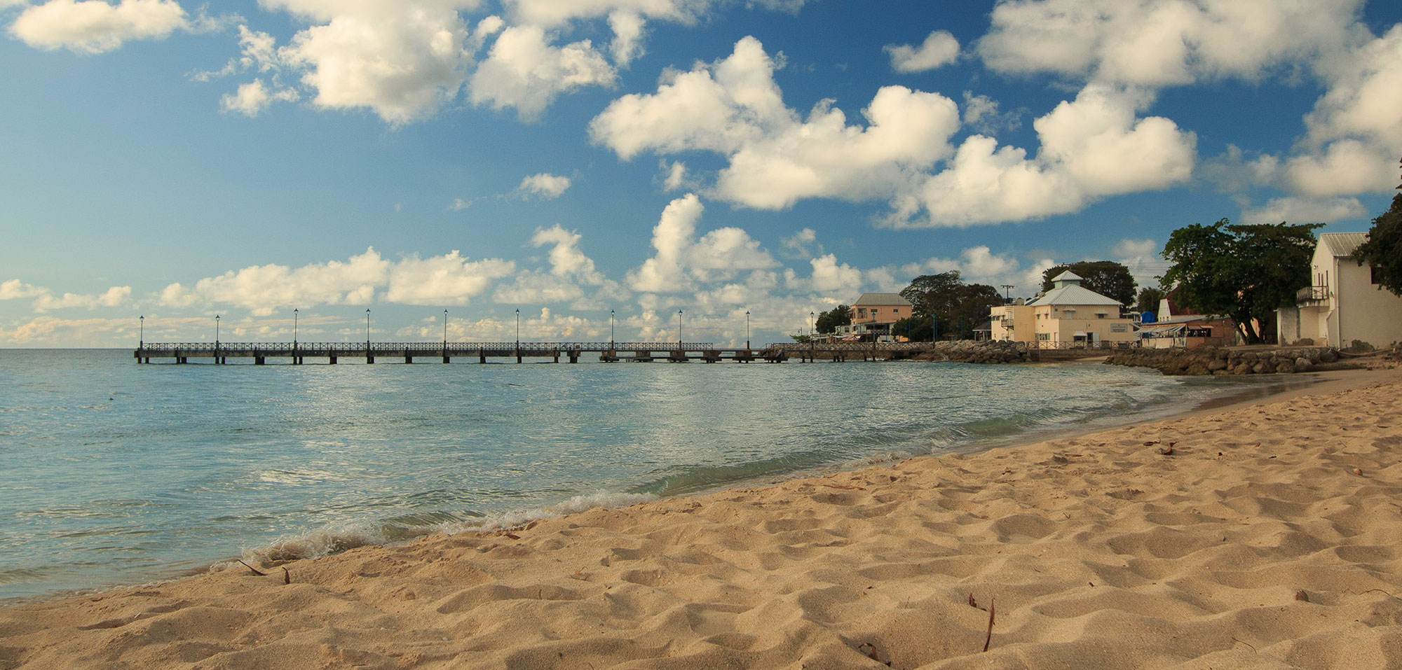 Charlestonians looking for business, cultural ties with Barbados